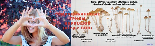 apvp Протвино