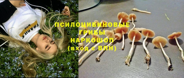 apvp Протвино