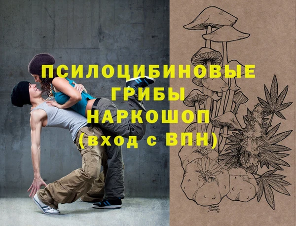 ECSTASY Абинск