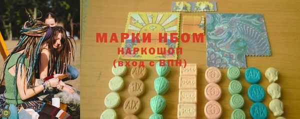 стаф Ладушкин