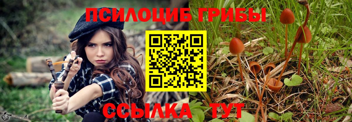 Майский  Галлюциногенные грибы мицелий  как найти закладки  Вход с VPN 